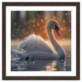 Majestic Swan Gliding On Water During Sunset Golden Hour Wildlife thumbnail