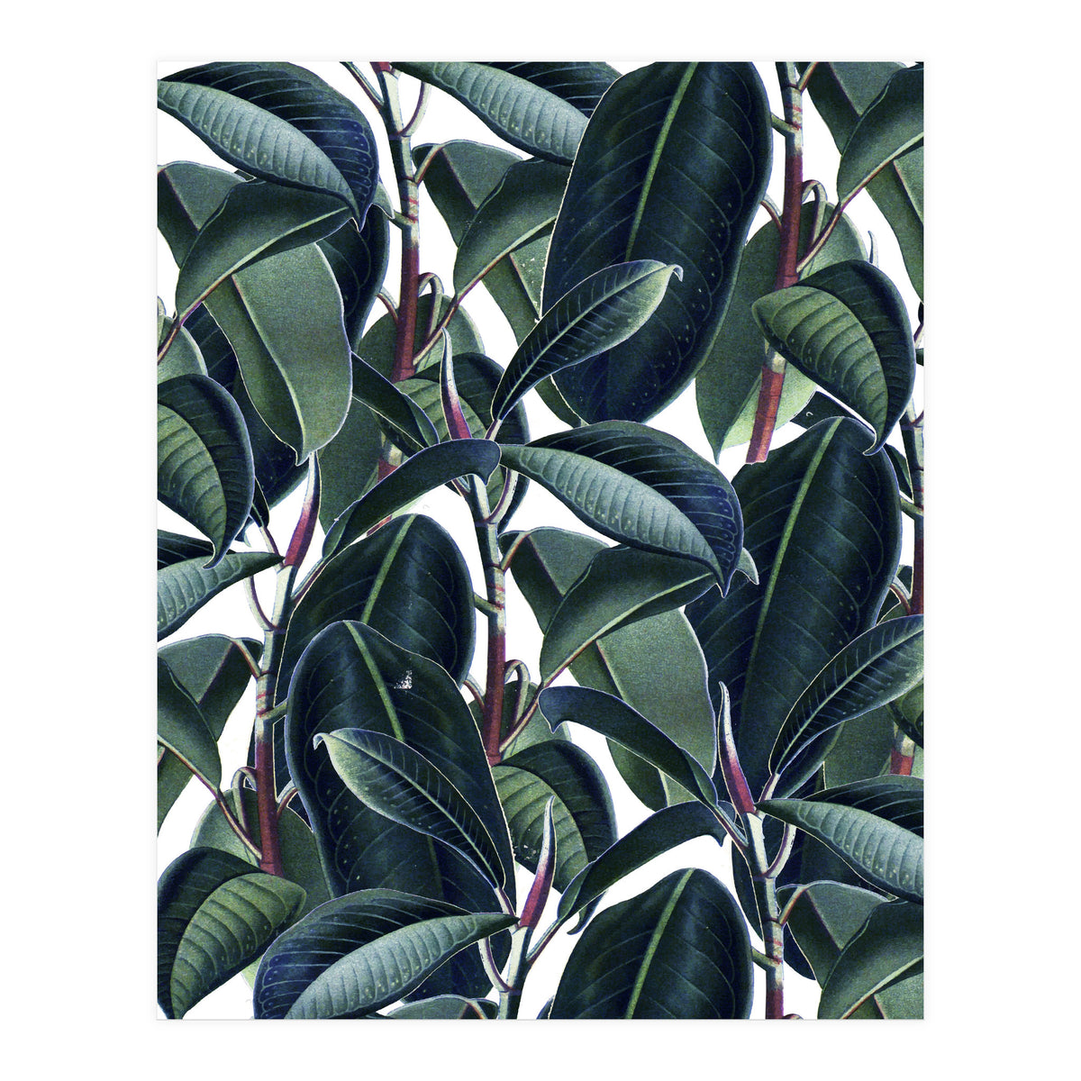 Rubber & Glue #society6 #decor #buyart  (Print Only)