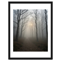 Ethereal Morning Light Breaking Through Dense Forest Fog