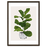 Fiddle Leaf Fig Tree Plant thumbnail
