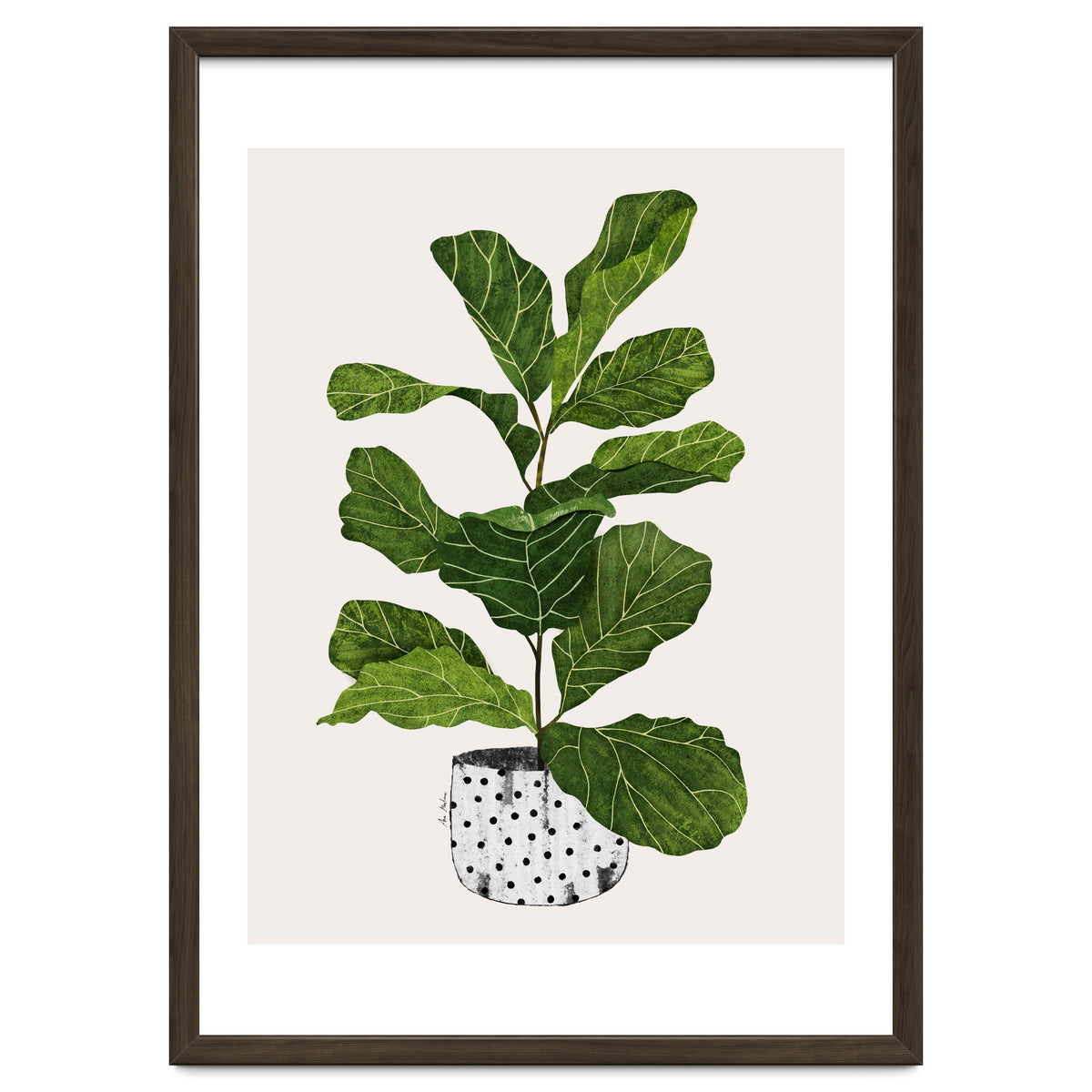 Fiddle Leaf Fig Tree Plant