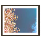 Leaves And Sky thumbnail