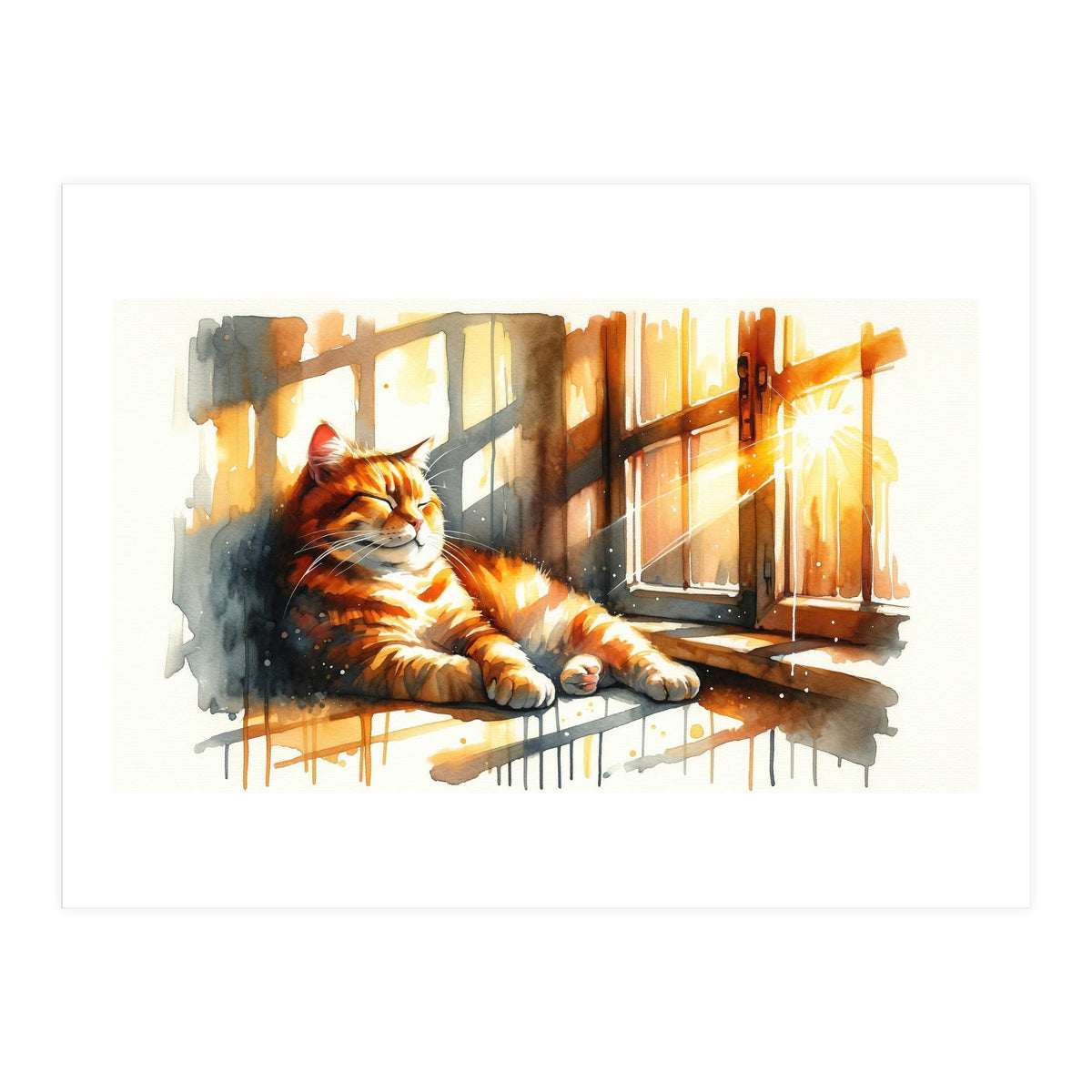 Cat Relaxing In Sunlight (Print Only)