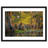 Heron in the swamps thumbnail
