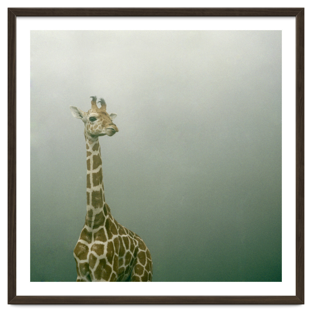 Silence of breath - 08