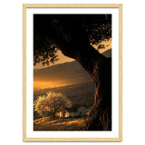 The Hill thumbnail
