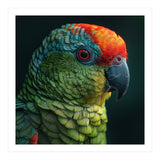 Close Up Colorful Parrot Bird Feather (Print Only) thumbnail