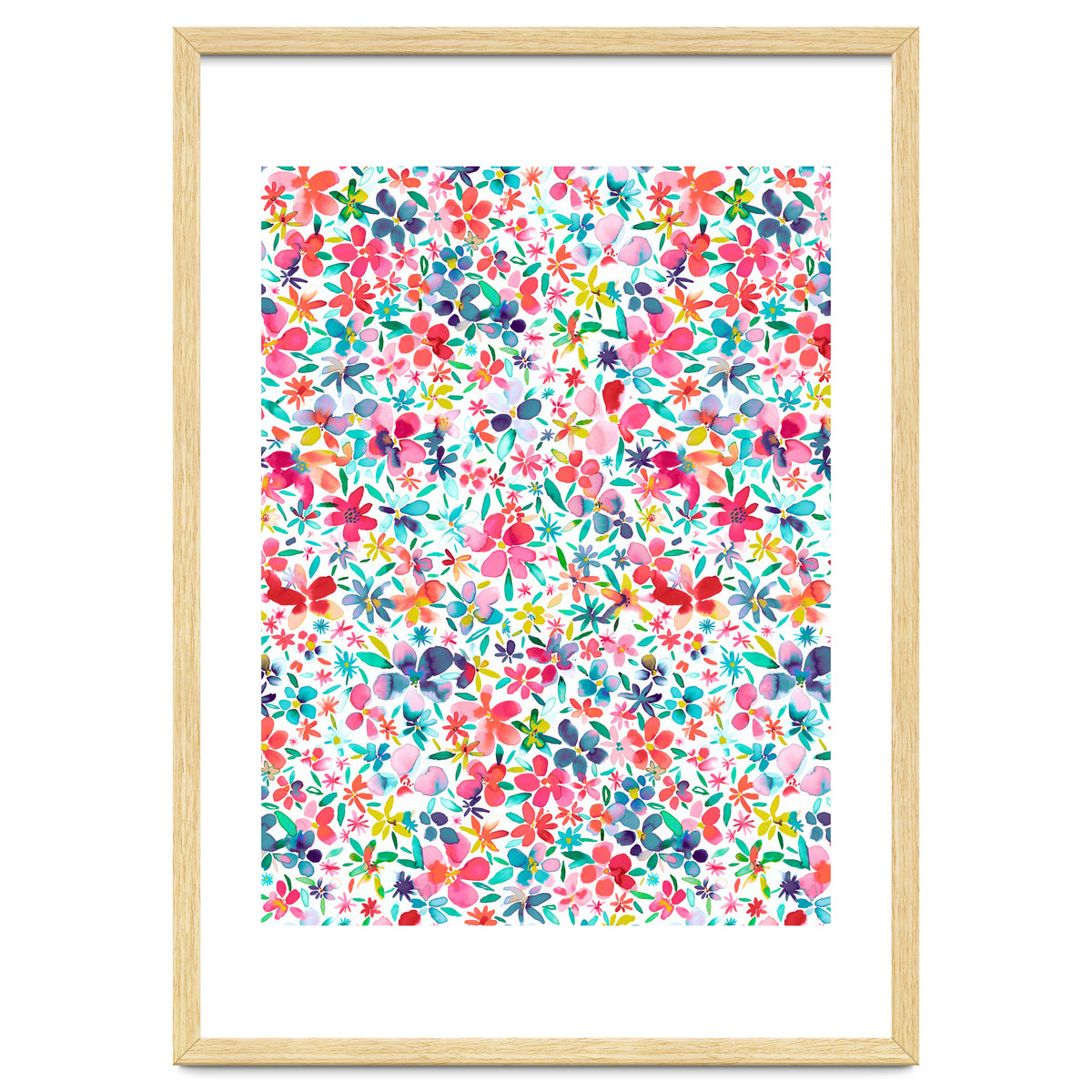 Colorful Flower Petals