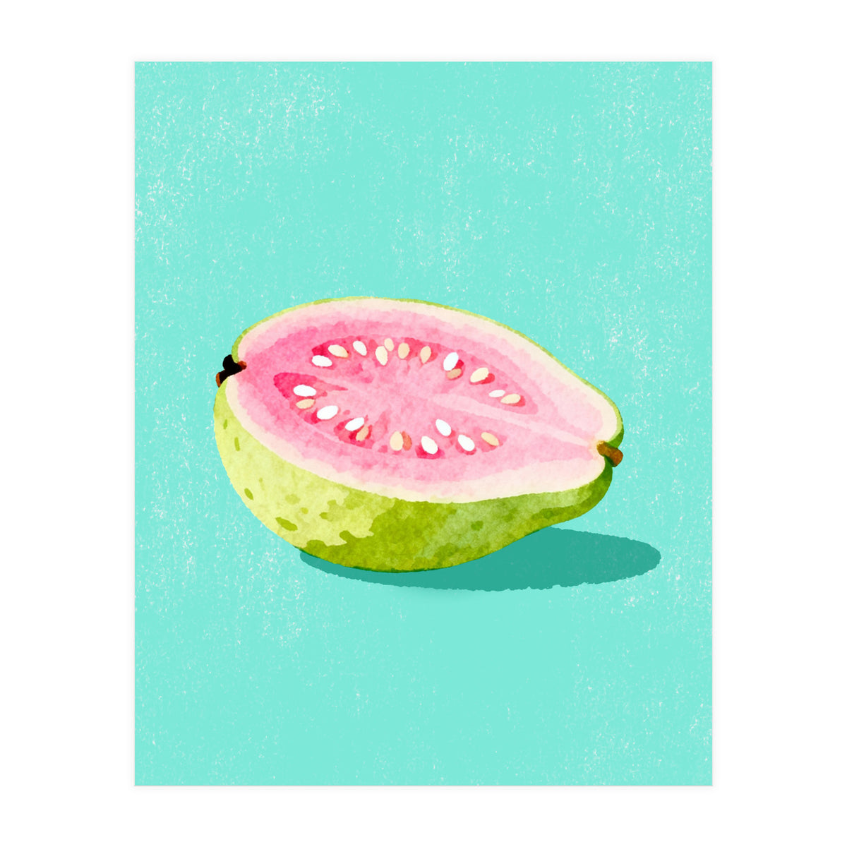 Guava Fruit Illustration (Print Only)