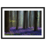 Bluebell forest thumbnail
