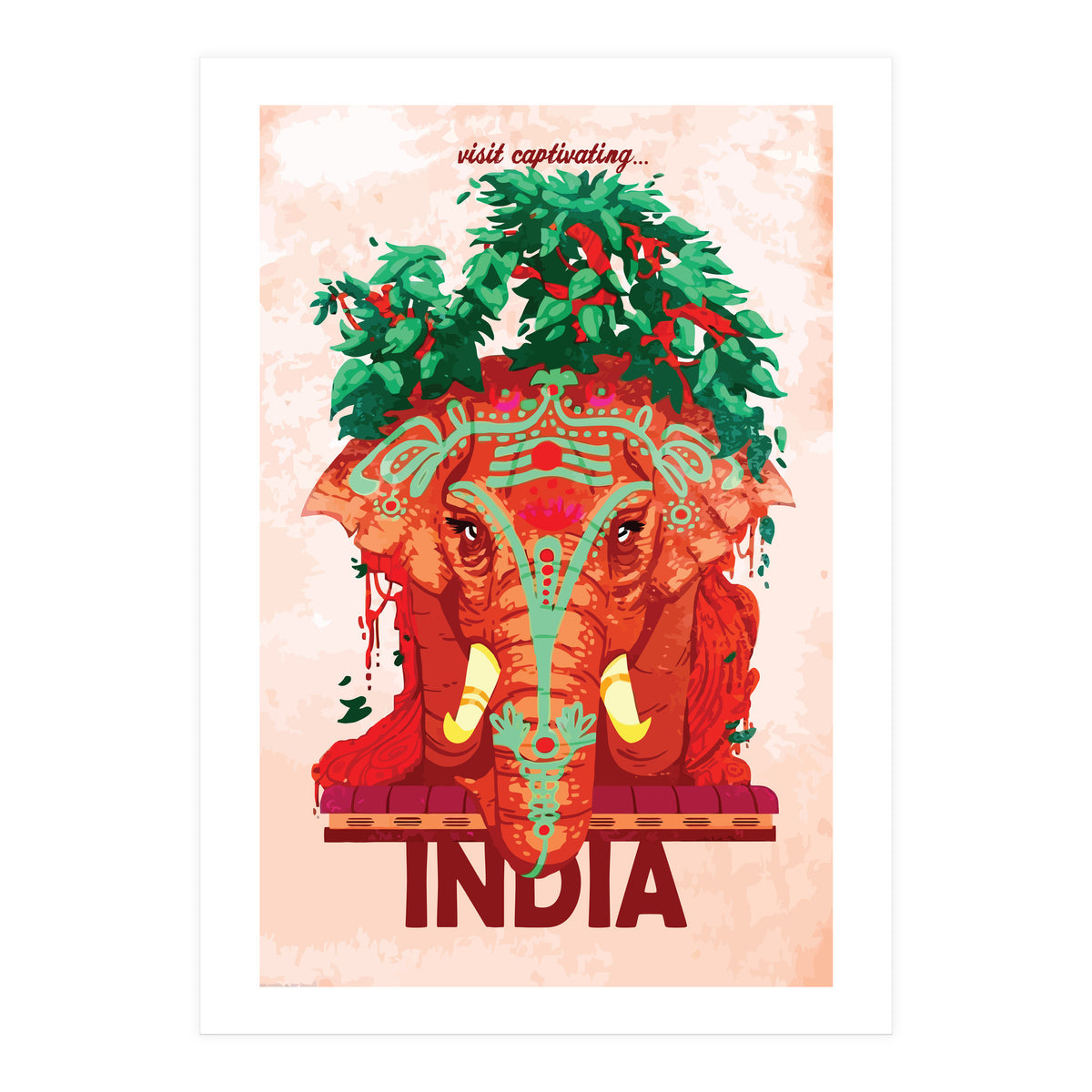 Captivating India (Print Only)