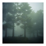 Silence of breath - 10 (Print Only) thumbnail