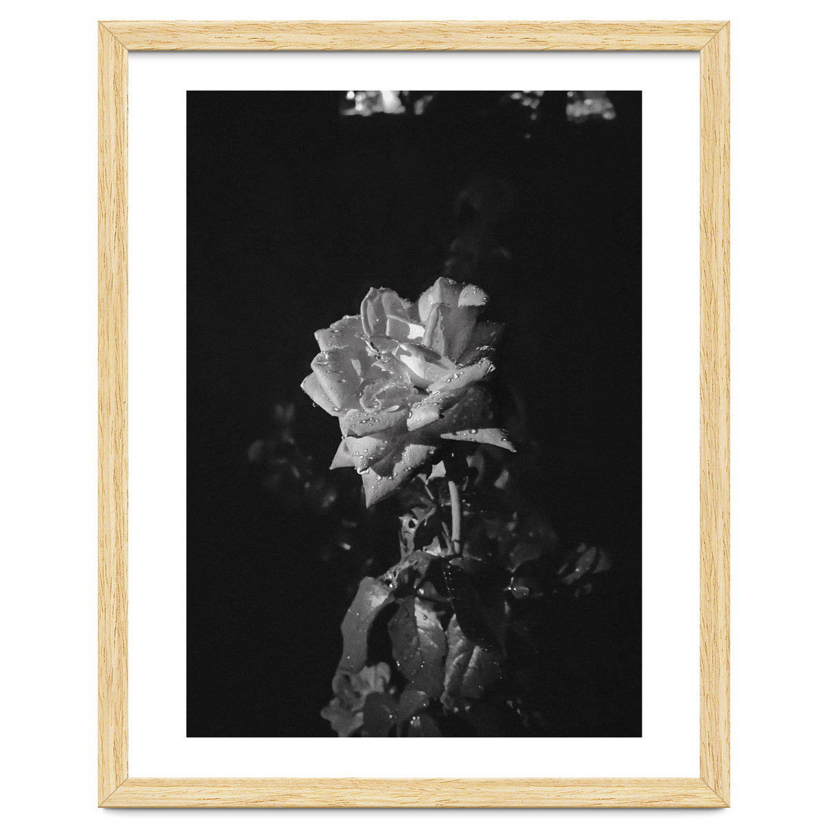 Romantic | Black & White