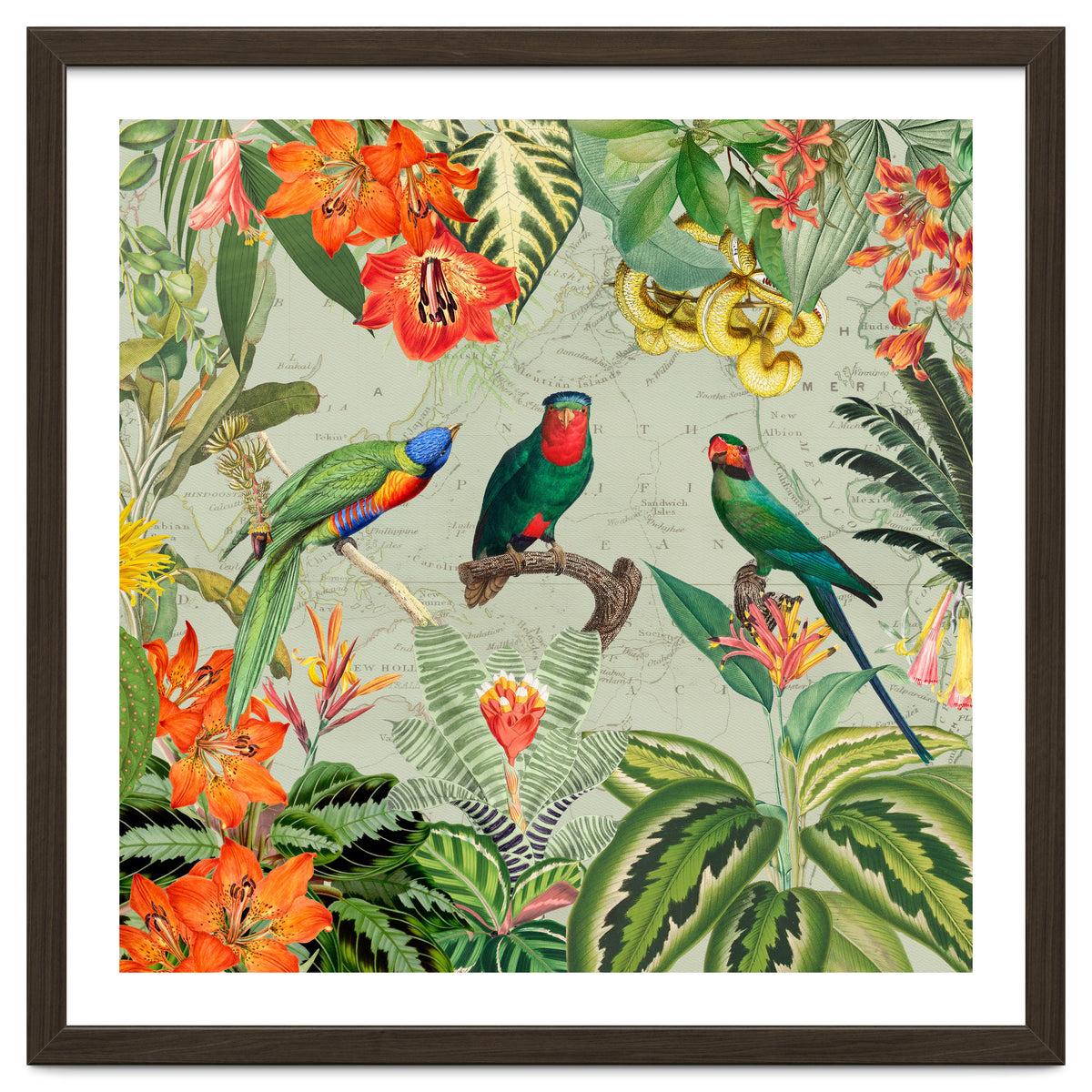 Exotic Parrots Jungle Landscape