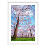 Spring in optima forma thumbnail