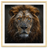 Majestic Lion With Glowing Eyes Close Up Portrait thumbnail