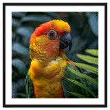 Close Up Of A Colorful Sun Conure Parrot thumbnail