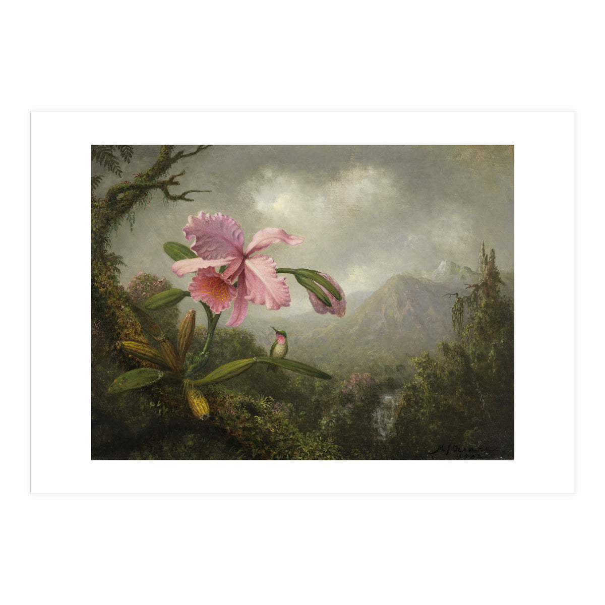 Martin Johnson Heade (Lumberville, 1819-St. Augustine, 1904). Orchid and Hummingbird near a Water... (Print Only)