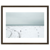 Seagulls in the winter snow beach thumbnail