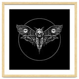 Deaths Head Moth thumbnail
