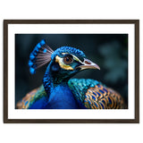 Peacock Head Close Up Majestic Blue Bird thumbnail