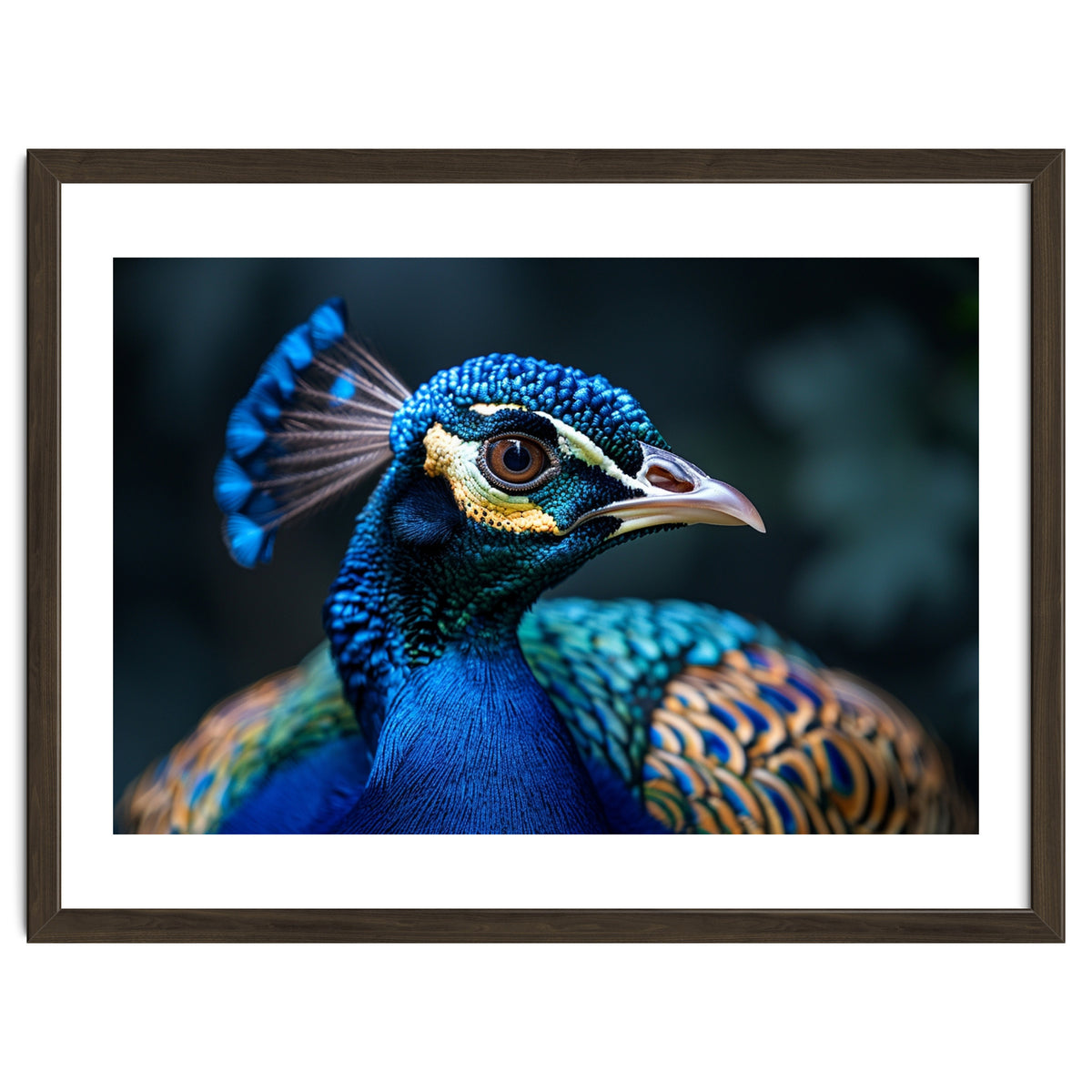 Peacock Head Close Up Majestic Blue Bird