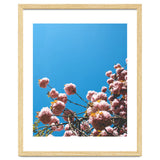 Pink Summer thumbnail