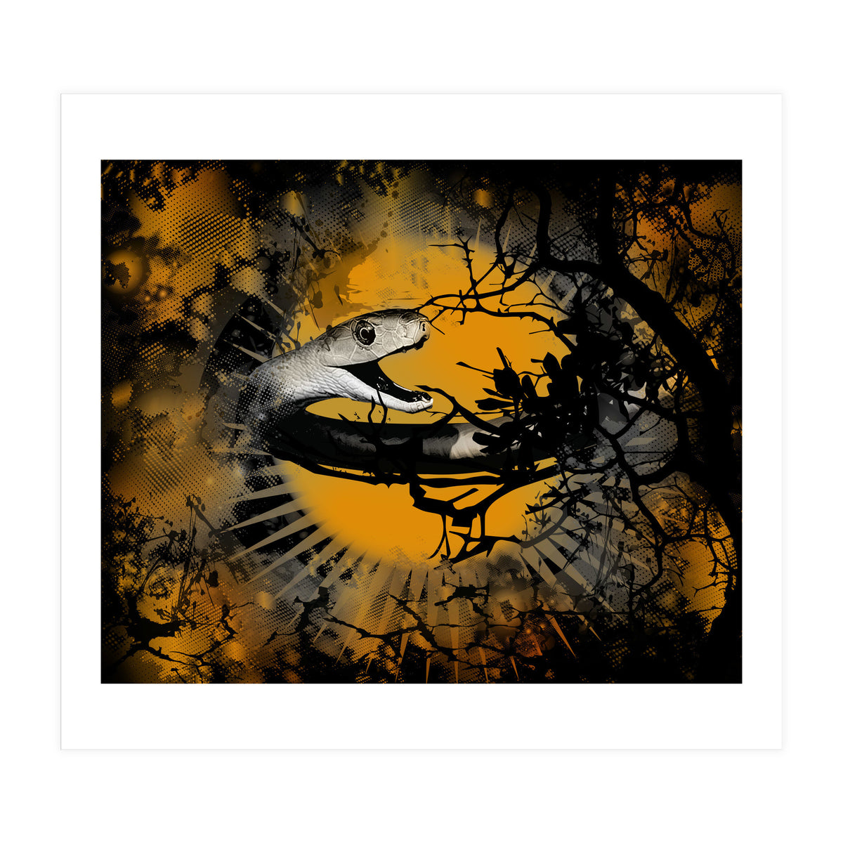 Black Mamba  (Print Only)