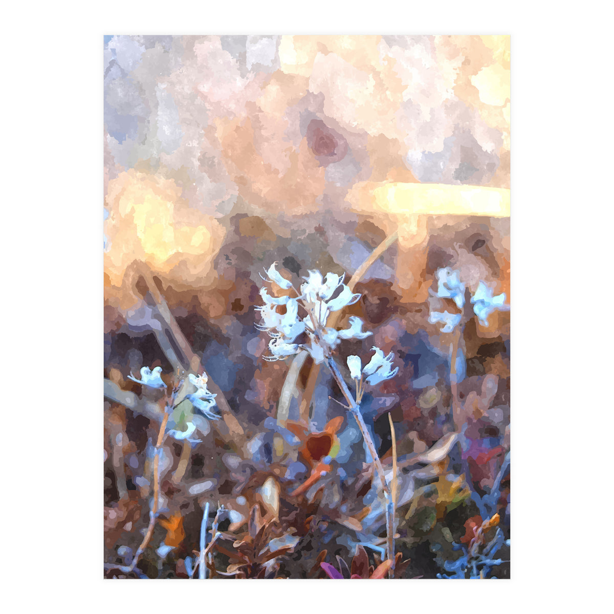 After The Rain (Print Only)