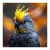 Close-up Portrait of a Yellow Cockatoo in the Wild. (Print Only) thumbnail