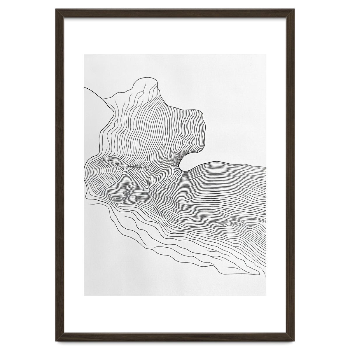 Abstract Black And White Organic Flowing Lines Pattern