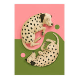 Yin And Yang Dalmatians (Print Only) thumbnail