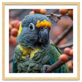 Yellow Headed Amazon Parrot Close Up Portrait thumbnail