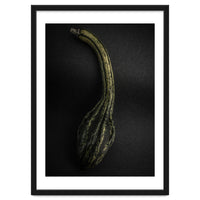 Gourds No 9 Color Version