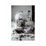 Black Roses (Print Only) thumbnail