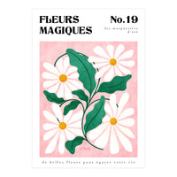Magical Flowers No.19 Summer Daisies (Print Only)