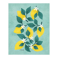 Lemon Blossom (Print Only)