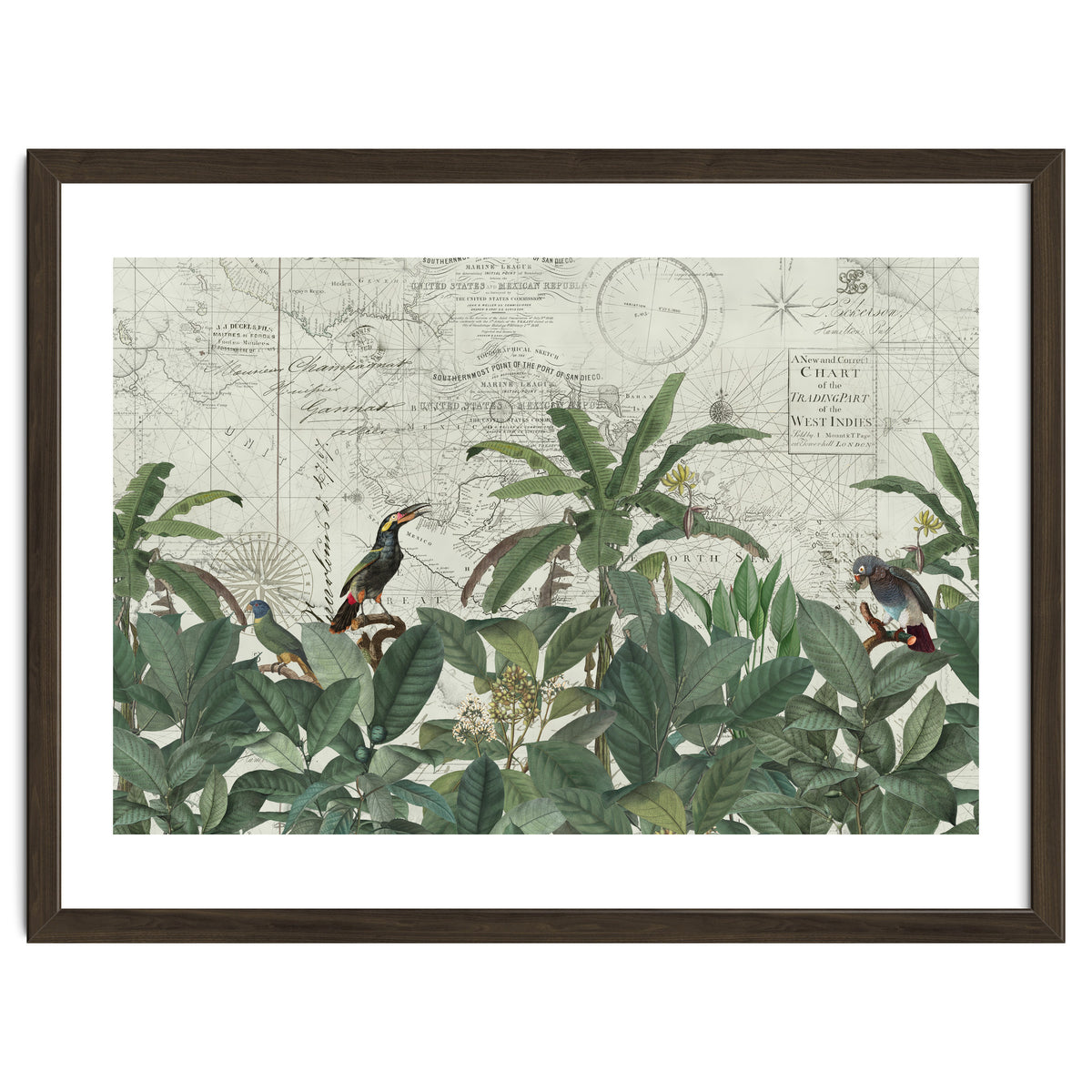 Explore The New World