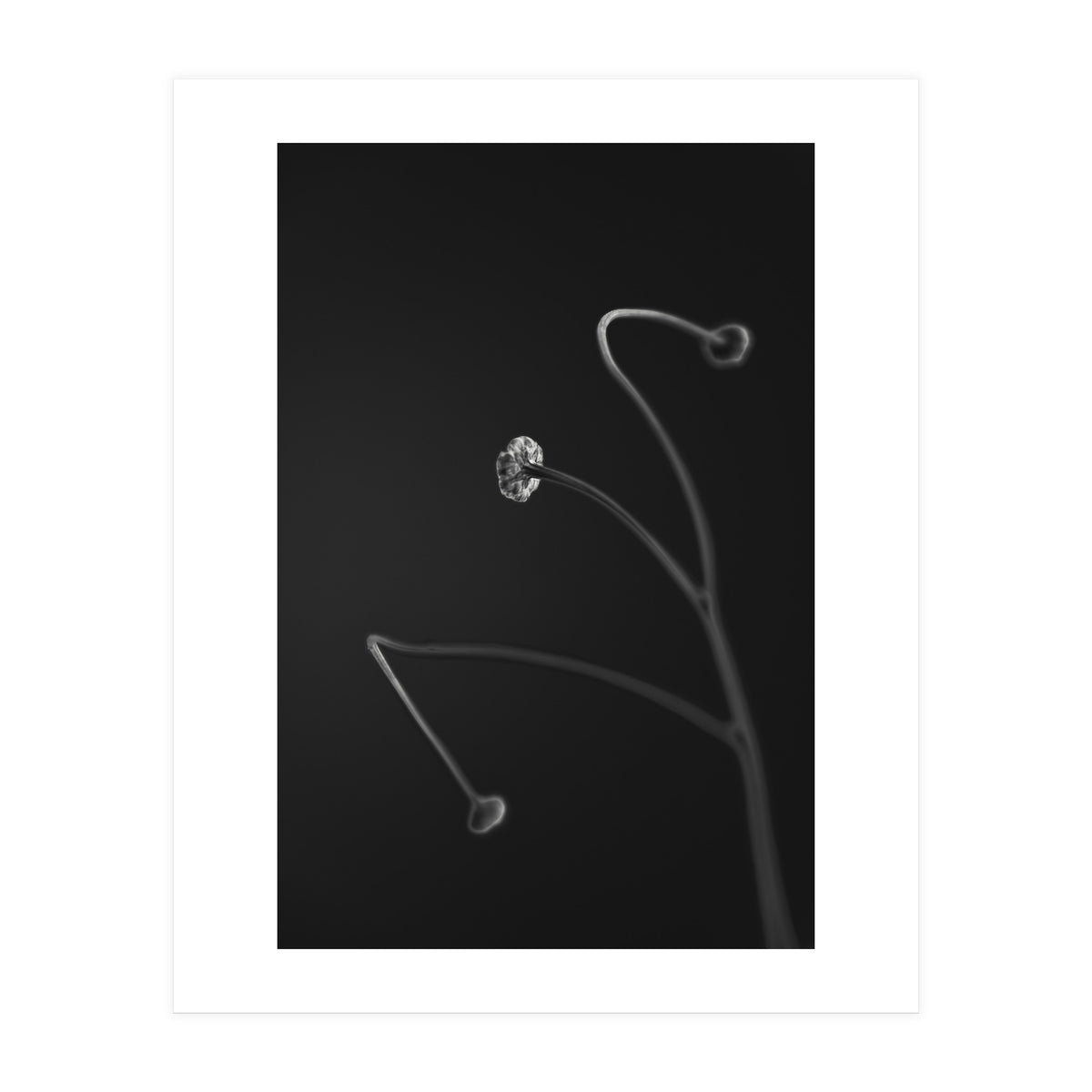 In light of current events VII (Print Only)