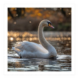 Graceful Swan Gliding On Reflective Water Surface (Print Only) thumbnail