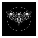 Deaths Head Moth (Print Only) thumbnail