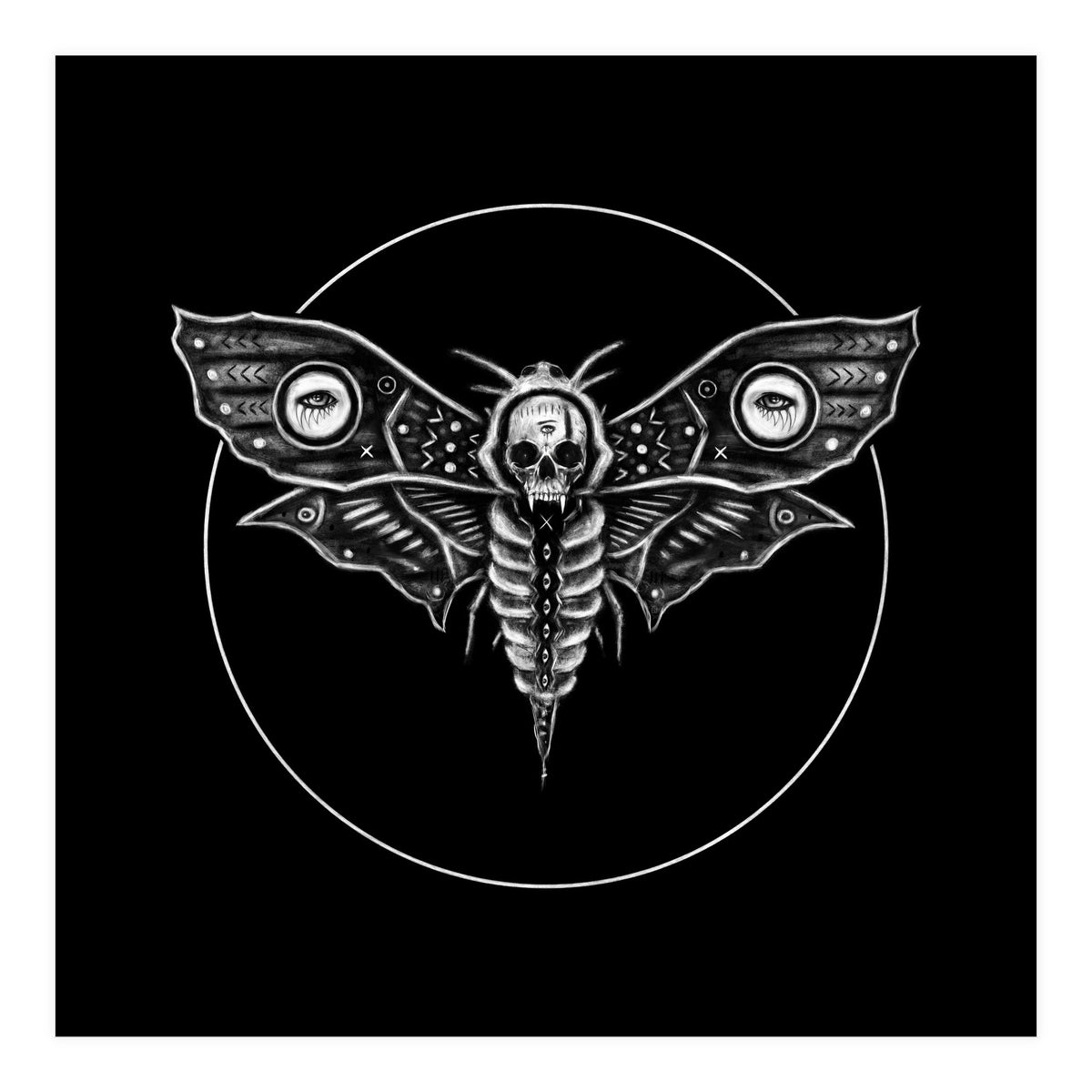 Deaths Head Moth (Print Only)