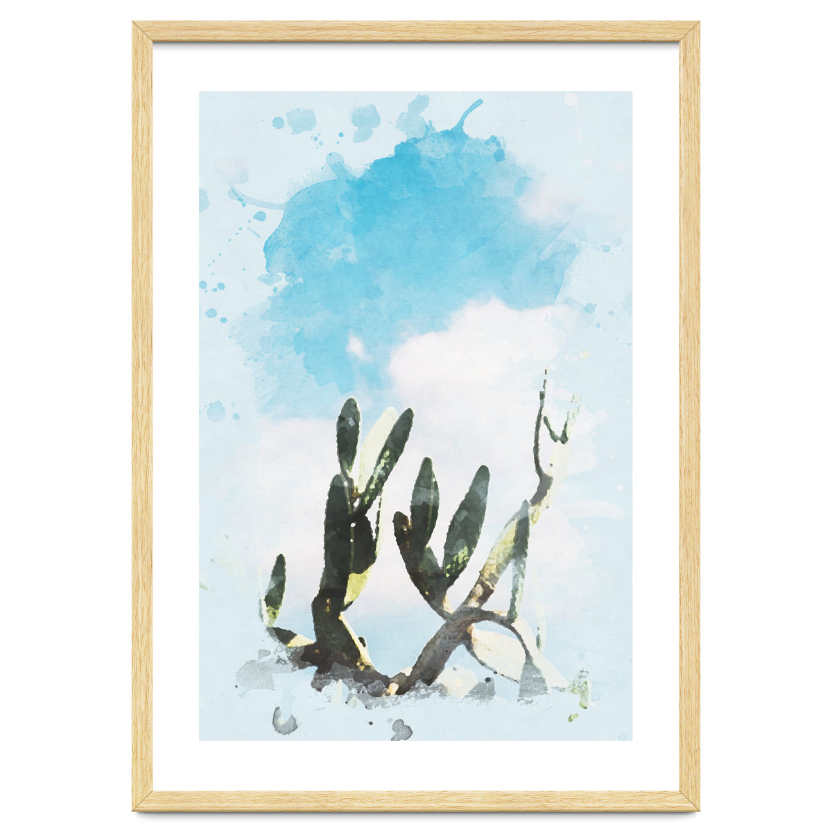 Cactus & Sky