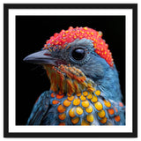 Close Up Of Colorful Bird With Water Droplets thumbnail