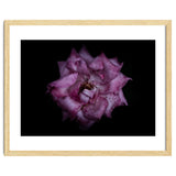 Backyard Flowers No 111 Color Version thumbnail