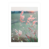 Dance With Air (Print Only) thumbnail