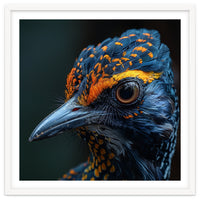 Close Up Of A Colorful Bird Head And Eye