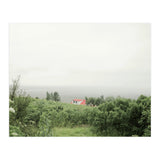 Red Roof house in between the summer green field - Iceland (Print Only) thumbnail