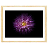 Backyard Flowers No 20 Color Flow Version thumbnail