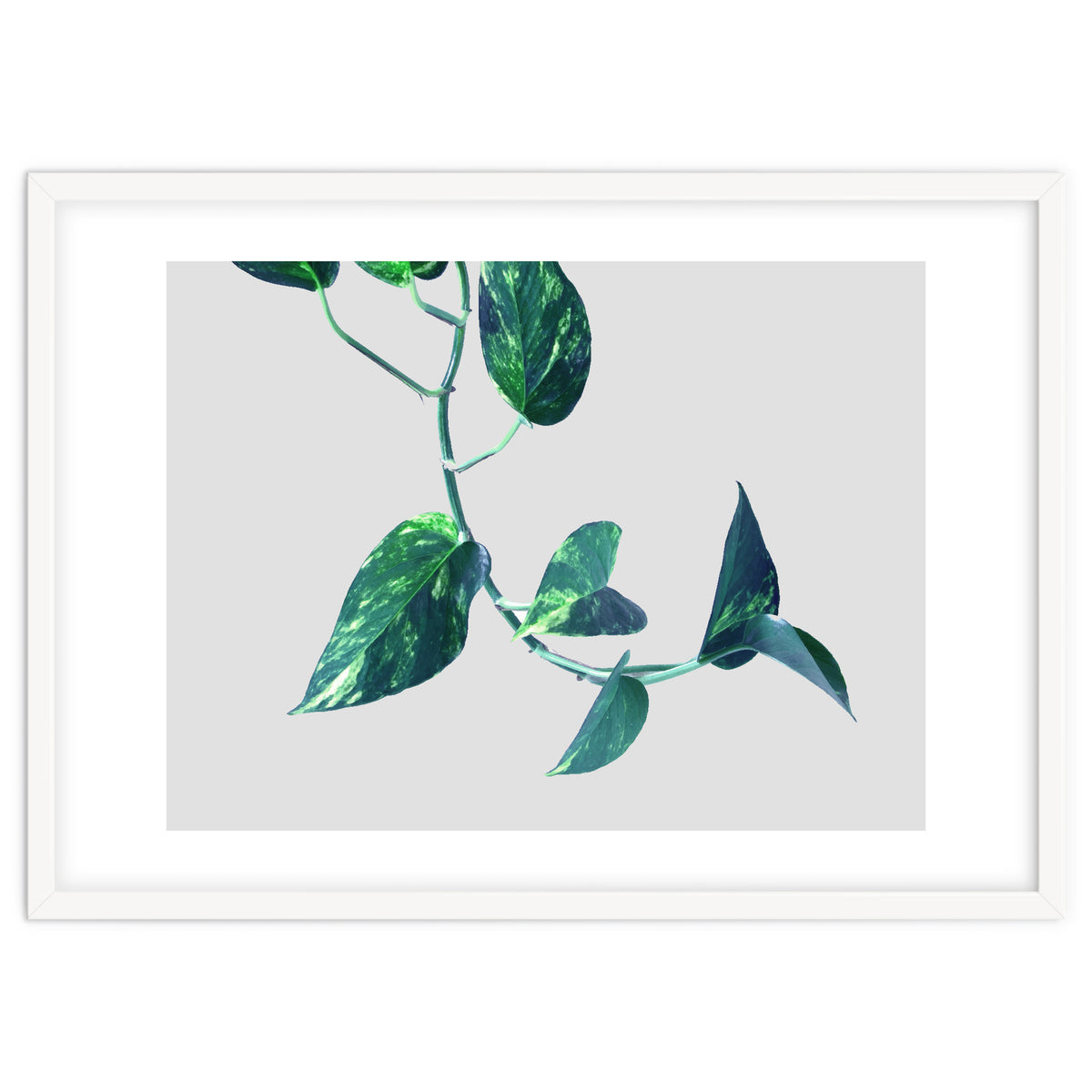 Projection & Emotion